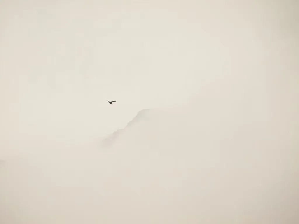 IMG-20250723123002405